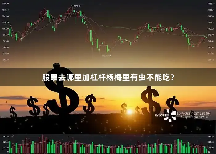 股票去哪里加杠杆杨梅里有虫不能吃？